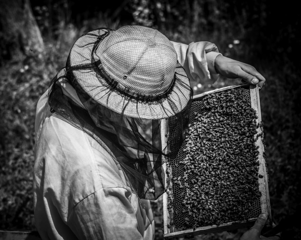 #traçabilité #transparence #miel #madeinfrance #mieldefrance #apidologie #hautdegamme #luxe #excellence #mielluxe #apiculture #apiculteurécoltant #abeille #miellavande #mielsaintebaume #mielprovence #épicerie #épicerfine #mielbourgogne #cadeau #nature #biodiversité #provence,miel luxe,luxe,traçabilité,qualité,madeinfrance,miel,apidologie,haut de gamme,excellence,apiculture,apiculteur récoltant,abeille,miel lavande,miel sainte-baume,miel provence,épicerie,épicerie fine,miel bourgogne,cadeau,biodiversité,provence