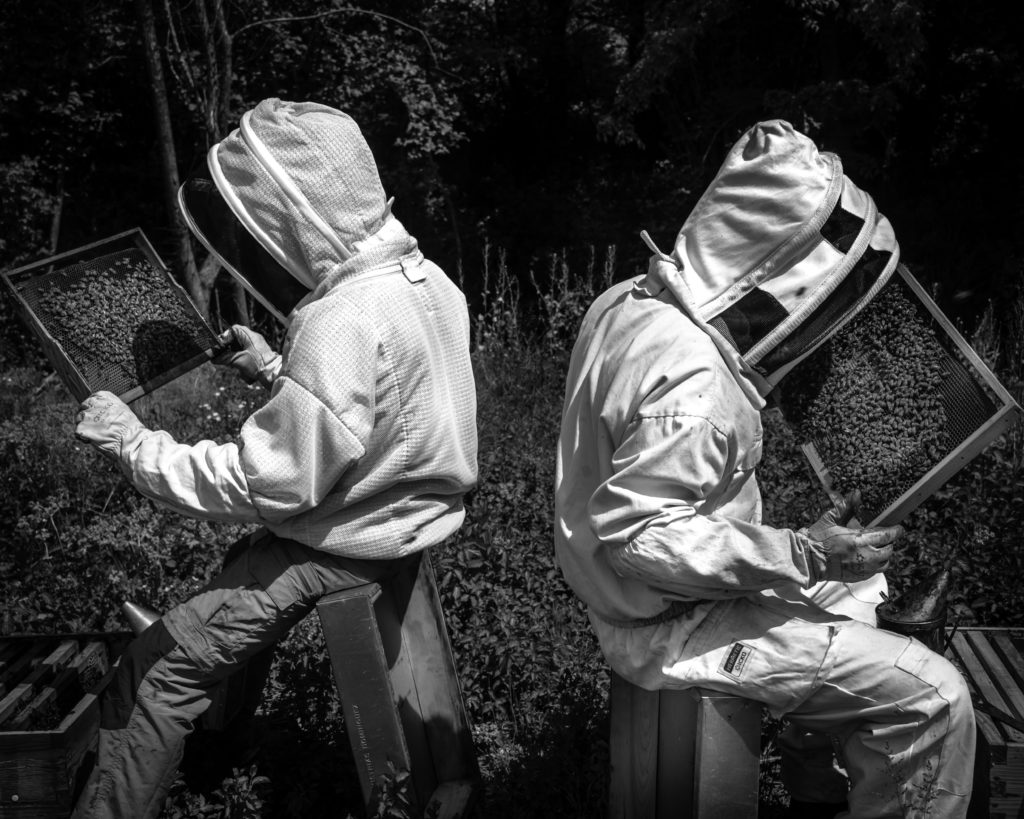 #traçabilité #transparence #miel #madeinfrance #mieldefrance #apidologie #hautdegamme #luxe #excellence #mielluxe #apiculture #apiculteurécoltant #abeille #miellavande #mielsaintebaume #mielprovence #épicerie #épicerfine #mielbourgogne #cadeau #nature #biodiversité #provence,miel luxe,luxe,traçabilité,qualité,madeinfrance,miel,apidologie,haut de gamme,excellence,apiculture,apiculteur récoltant,abeille,miel lavande,miel sainte-baume,miel provence,épicerie,épicerie fine,miel bourgogne,cadeau,biodiversité,provence