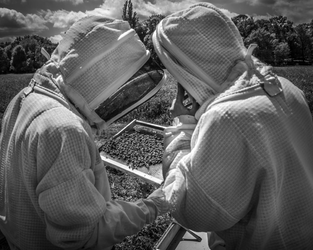 #traçabilité #transparence #miel #madeinfrance #mieldefrance #apidologie #hautdegamme #luxe #excellence #mielluxe #apiculture #apiculteurécoltant #abeille #miellavande #mielsaintebaume #mielprovence #épicerie #épicerfine #mielbourgogne #cadeau #nature #biodiversité #provence